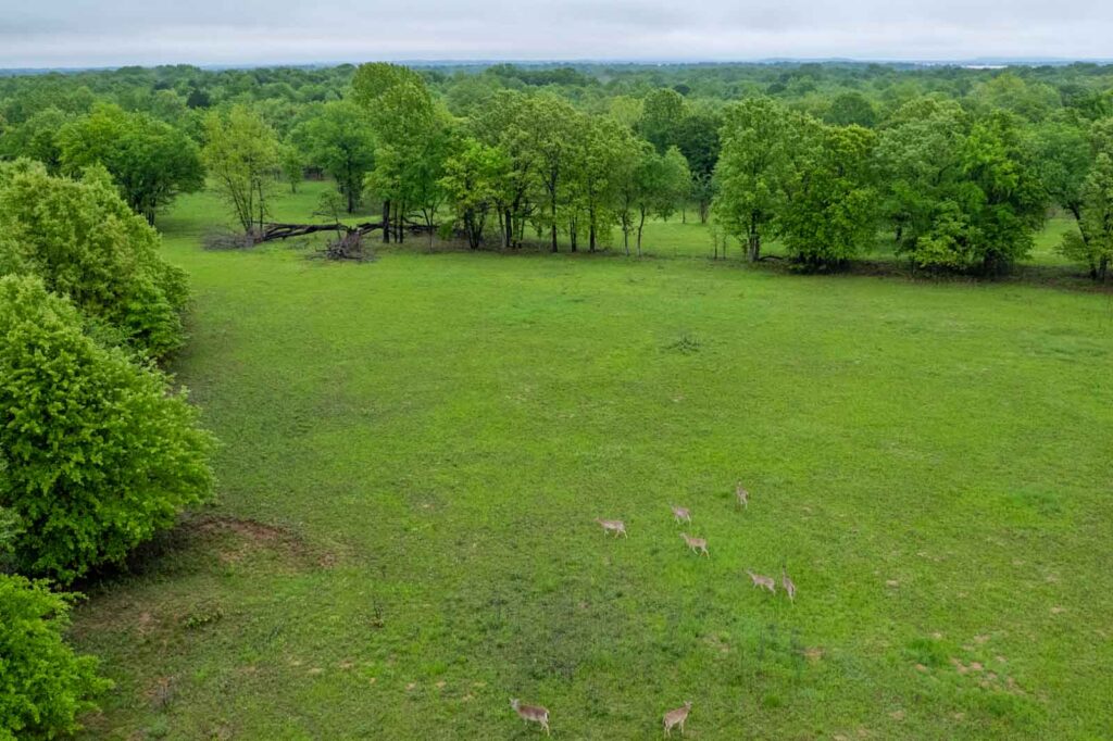 Improve Land Before Selling matters